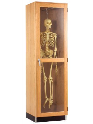 Skeleton Cabinet - Hanging