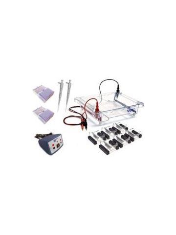 Electrophoresis Classroom Kit