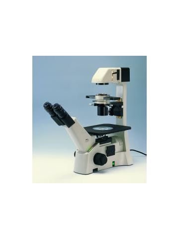 Motic AE31E 30W Binocular Inverted